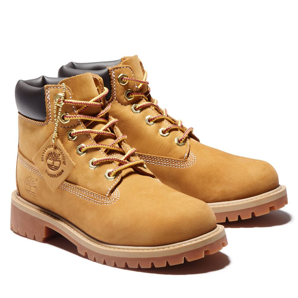 Bocanci 6-Inch Timberland Copii Maro - Youth Premium Waterproof - Romania - MWOEVF840